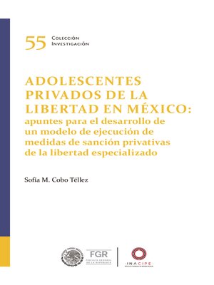 cover image of Adolescentes privados de la libertad en México